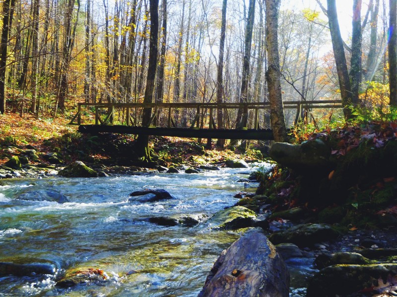 Mount Greylock and the Money Brook Trail