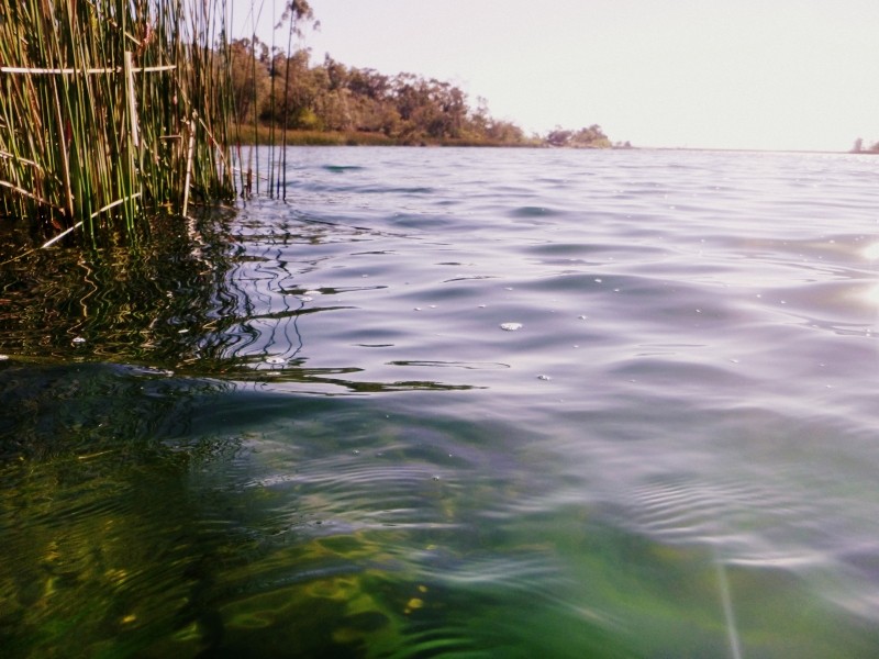 Lake Miramar