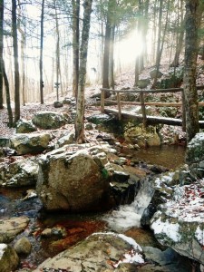 2015-11-15 07.30.38 1     