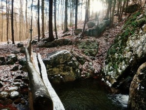 2015-11-15 07.30.42 1     