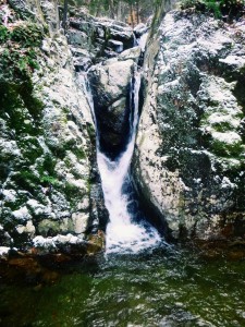 2015-11-15 07.30.46 1     