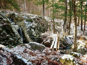 2015-11-15 07.30.56 1     