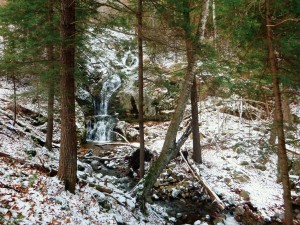 2015-11-15 07.30.59 1     