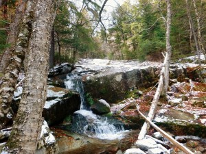 2015-11-15 07.31.02 1         