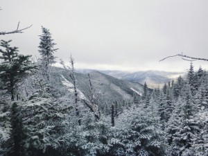 2015-11-15 07.31.12 1         