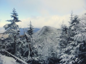 2015-11-15 07.31.26 1         