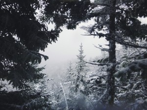 2015-11-15 07.31.30 1         