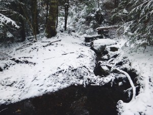 2015-11-15 07.31.34 1         