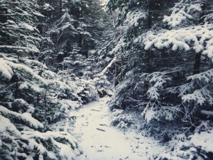 2015-11-15 07.31.49 1         