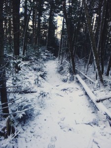 2015-11-15 07.31.56 1     