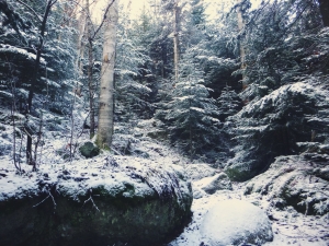 2015-11-15 07.32.01 1     