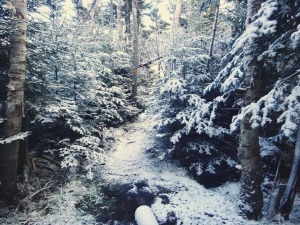 2015-11-15 07.32.04 1     