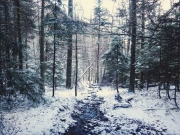 2015-11-15 07.32.17 1     