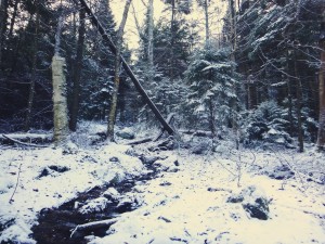 2015-11-15 07.32.20 1     