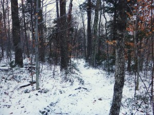 2015-11-15 07.32.24 1     