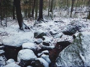 2015-11-15 07.32.28 1     