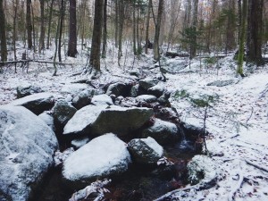 2015-11-15 07.32.33 1     