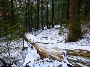 2015-11-15 07.32.35 1     