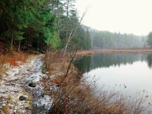 2015-11-15 07.32.39 1     