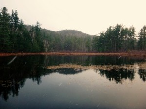 2015-11-15 07.32.43 1     