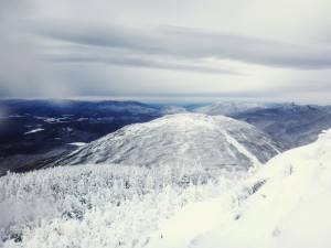 2016-01-30 10.57.51 1