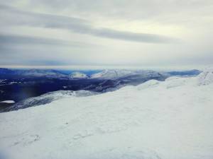 2016-01-30 10.57.55 1