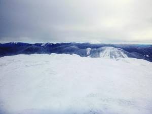 2016-01-30 10.57.58 1