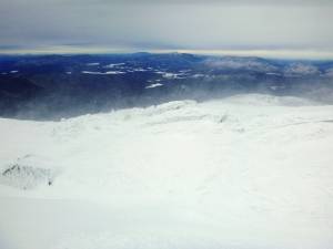 2016-01-30 10.58.09 1