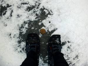 2016-01-30 10.58.14 1