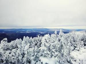 2016-01-30 10.58.23 1