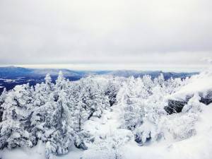 2016-01-30 10.58.27 1