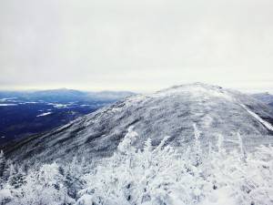 2016-01-30 10.58.32 1