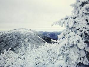 2016-01-30 10.58.35 1