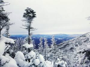 2016-01-30 10.58.39 1