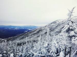 2016-01-30 10.58.42 1