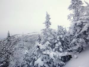 2016-01-30 10.58.45 1