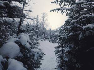 2016-01-30 10.58.47 1