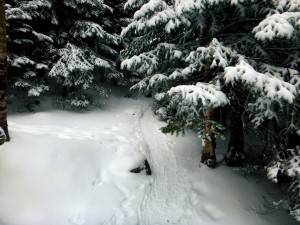 2016-01-30 10.58.50 1