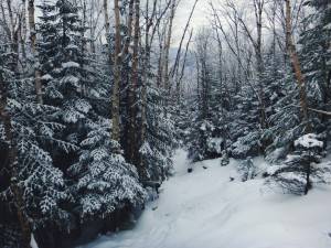 2016-01-30 10.58.54 1