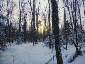 2016-01-30 10.58.58 1