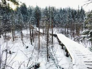 2016-01-30 10.59.03 1