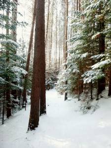 2016-01-30 10.59.07 1