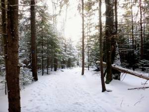 2016-01-30 10.59.09 1