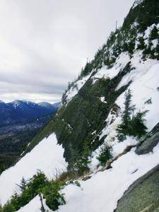 2017-02-21 07.34.37 1