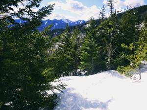 2017-02-21 07.34.44 1