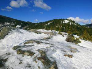 2017-02-21 07.35.27 1