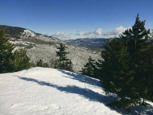 2017-02-21 07.35.51 1