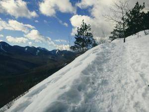 2017-02-21 07.36.04 1