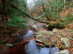 2016-10-29 10.03.25 1