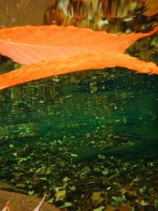 2016-10-29 10.03.27 1